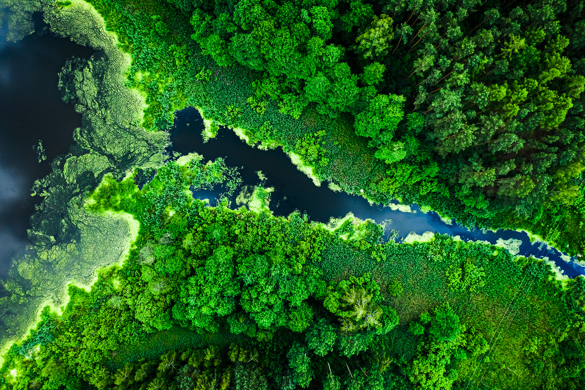 green-envir