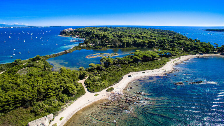 Ile-Sainte-Marguerite-Etang-du-Bateguier-(c)-Ville-de-Cannes