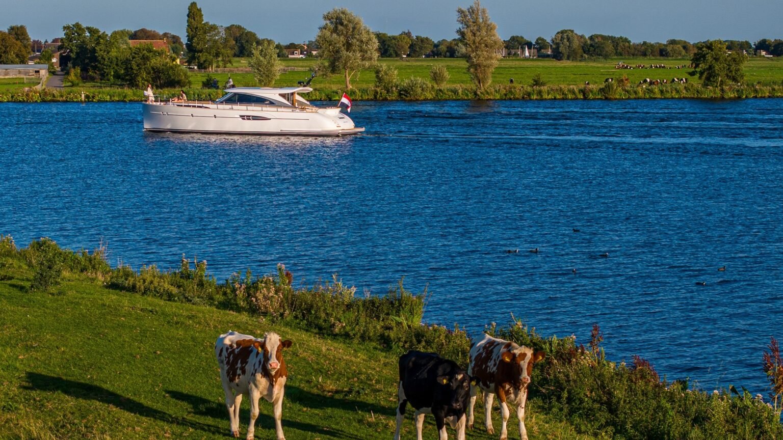 YN23138-Mulder-Favorite-1700-13